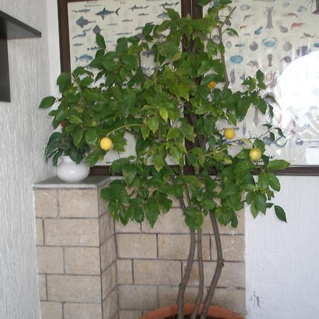 Guesthouse Hacijenda Sveti Juraj Buitenkant foto